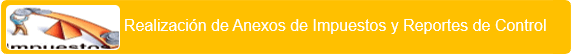 b-realizacion-de-anexos-y-reportes-de-control-contabilidad-quito-ecuador